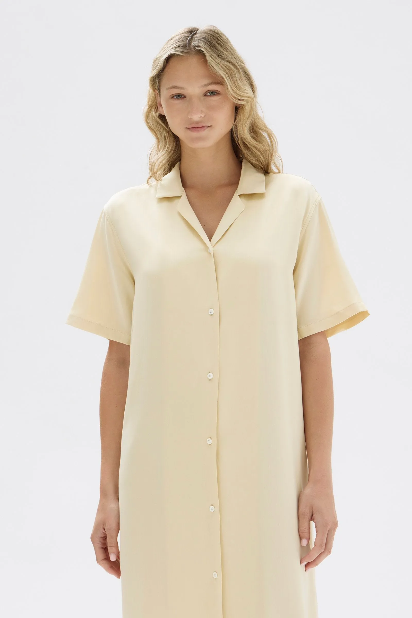 Silk Resort Shirt Dress